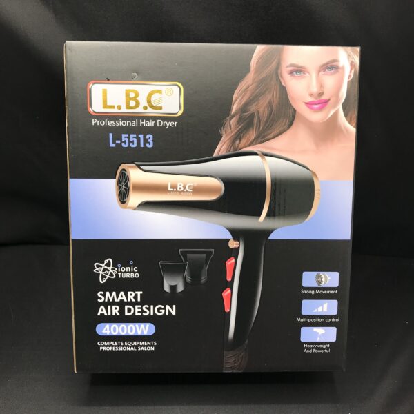 Secador de pelo 4000W / L-5513