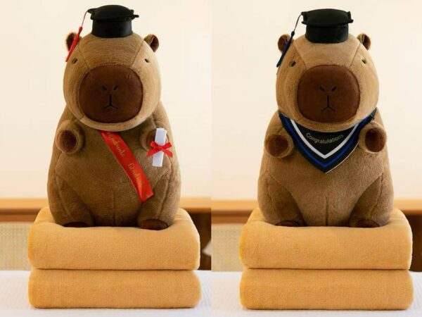 Peluche Capybara 40cm con manta / VM-5406